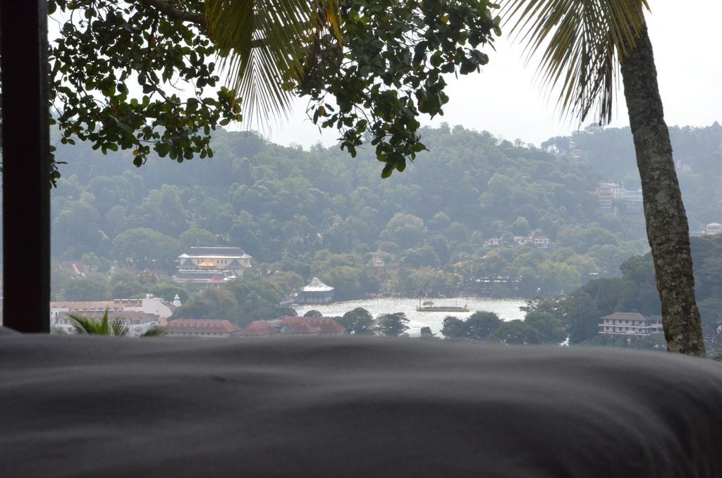 The Buena Vista Kandy Quarto foto
